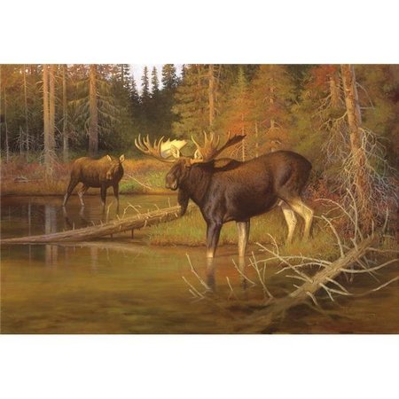 CUSTOM PRINTED RUGS Custom Printed Rugs DM 62 Lambson Moose Intruder Moose DM 62